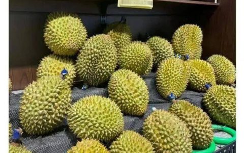 榴莲价格跳水，暴跌70%，网友：感觉还能跌