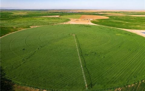在沙漠“种”出好牛奶：特仑苏以全产业链思维，解锁荒漠中的绿色经济密码