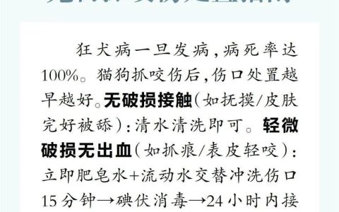 狂犬病致死率100%！宠物抓咬伤处置指南