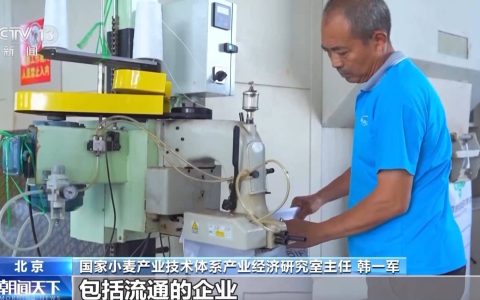 夏粮收购进行时 今年新麦有点香 价格稳中有升有保障