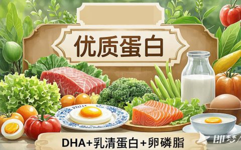 增肌VS减脂：蛋白质摄入的黄金平衡法则