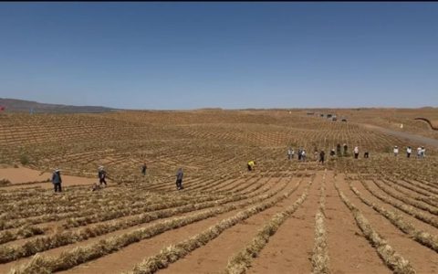 奇迹！宁夏成功完成腾格里沙漠锁边：中国第四大沙漠