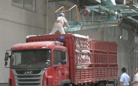 政策保障“托底”、消费需求向好……多重利好有力支撑国内小麦市场