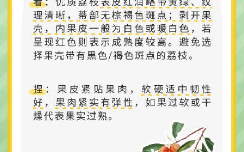 好吃别多吃！儿童过量食用荔枝易引发荔枝病