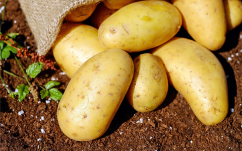 7件你不该放进冰箱冷冻区的食物！有些可能会爆炸！