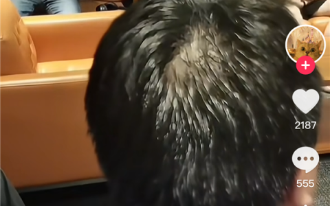 员工讨薪风波后 哪吒汽车今起居家办公：CEO方运舟前往桐乡