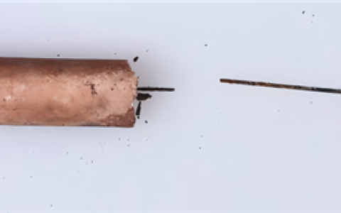 侯爷也针灸！西汉海昏侯墓发现我国迄今最早钢制医用毫针