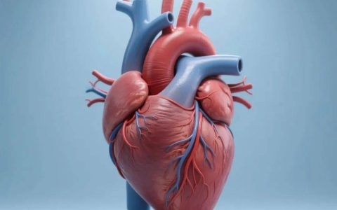 常做这5件小事，心脏不会太差