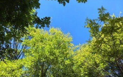 热射病不是普通的中暑！中伏如何预防热射病？