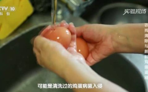 一家三口吃鸡蛋中毒！买回来的鸡蛋千万别这样做！