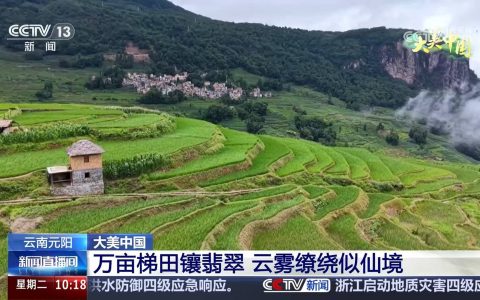梯田、荷花、蔬菜 夏日乡村美丽富饶、生机勃勃