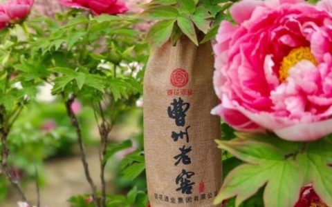 生态酿造技术引领浓香白酒新潮流，曹州老窖诚邀全国经销商