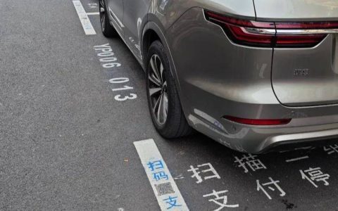 上海市民吐槽：路边停车让后排人下车，仅12秒也被收费……