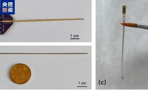 全球首次！我国植入式脑机接口取得新突破