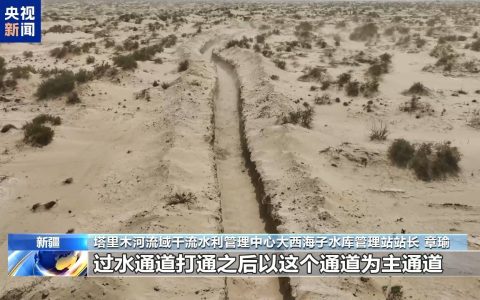 生态输水如何守护胡杨“生命线”？调控方案考虑这些