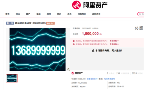 尾号“9999999”手机号100万元起拍 0人报名流拍