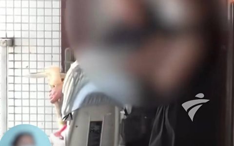 夫妻合租生娃被房东赶出？回应