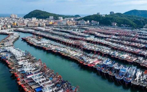 台风“桦加沙”来临前夕：闸坡渔港千帆归港，村民防御务实从容