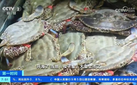 开海了 丰收了 海鲜水产品供应品类丰富、质优量大