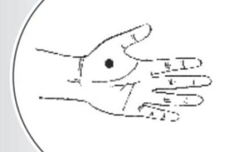 秋分：天凉燥起，阴阳平分！最全养生指南请收好