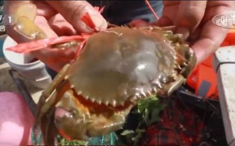 人气足、消费火！双节临近文旅市场热度攀升 消费市场供需两旺