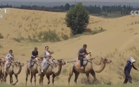 暑期旅游盘点 文旅消费再创新高