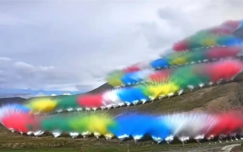 专家称烟花秀可能影响鼠兔：破坏整个食物链