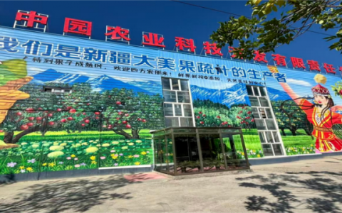 真宜健：以科技为翼，铸就新疆农业品牌新高度