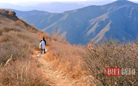 好人具象化，男子10年进山371次捡了2万多斤垃圾做公益