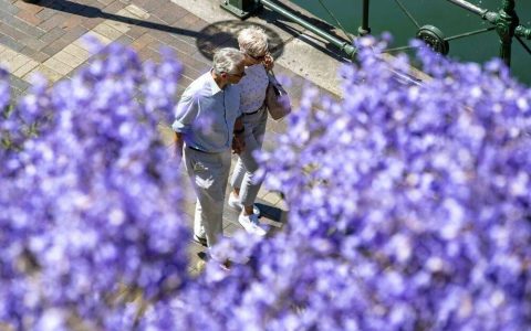 别说自己老了，大脑功能或60岁时达巅峰