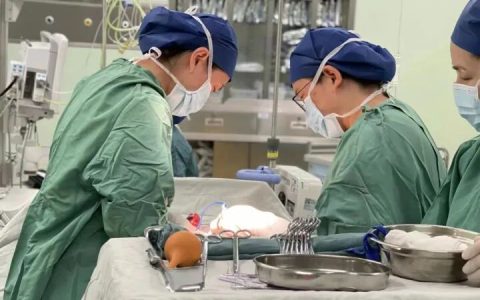 52岁极高龄女子，成功诞下龙凤胎！