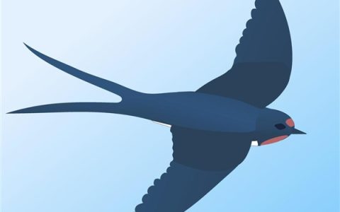 大量燕子滞留 它们为啥来不及南飞：原因揭开