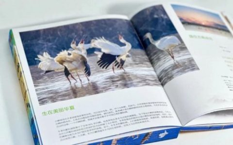 视觉中国助力合作伙伴图书入选“2025年度国家出版基金项目”