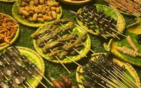 活久见！500元一斤的臭大姐”竟成香饽饽 医生称可以吃别多吃