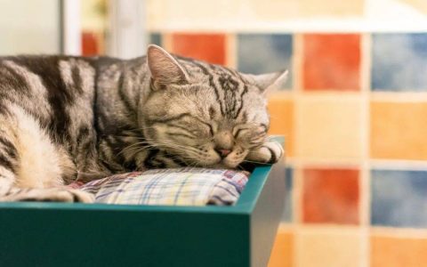 总是睡不好？专家教你避免误区，拥抱冬日好眠