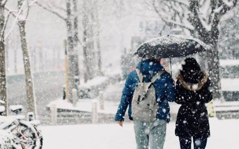 冬季为何骨折高发？可能需要补它