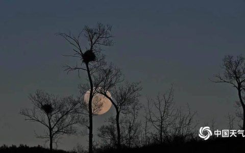 晴燥回归！今起广东气温缓慢爬坡，早晚寒凉更明显了