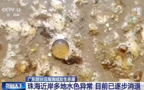 看似有趣的“爆爆珠”，可能带病菌！官方提醒：千万别碰