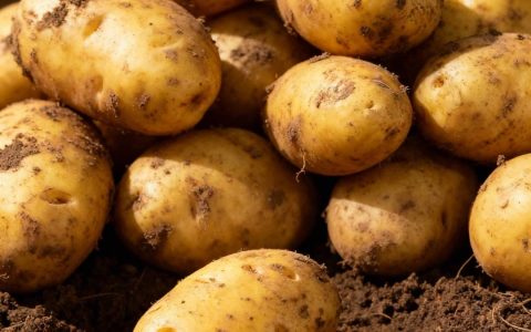 比苹果维C多10倍！这 “不起眼食材”，便宜耐放又百搭，家家户户都爱囤！