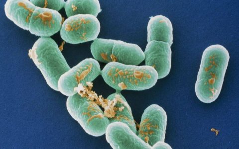 冰箱里的肉最多能“冻”多久？这组数字快记好！转给家人→