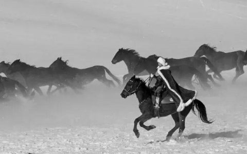 贺娇龙抢救无效不幸离世，曾荣获全国三八红旗手