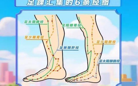 足踝是人体“第二心脏”！疼痛肿胀，或是“求救信号”