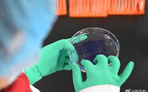 用药利好事关你我！国家医保药品清单一览