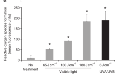 破解白癜风复色困局：从“氧化应激”机制到净衡凝胶的临床新思路