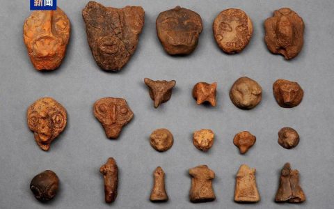 中国考古新成果揭晓，河南一项目入选→