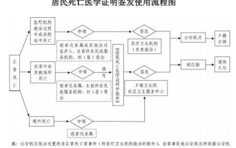 死亡证明纸质版、电子证照具备同等效力