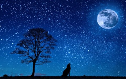 元宵佳节巧遇史诗级月全食 错过要等到2072年