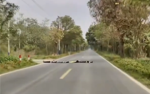 四名孩子躺马路上COS减速带 官方通报：已进行教育劝导