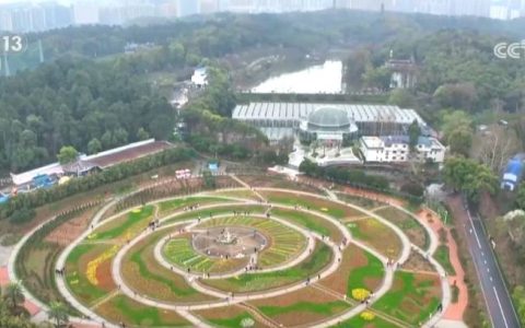 “春日限定”美景激发消费蓬勃活力 “赏花经济”以小切口撬动大市场