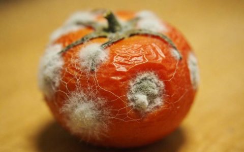 你会买保质期太长的东西吗？时间长≠加了超多防腐剂！